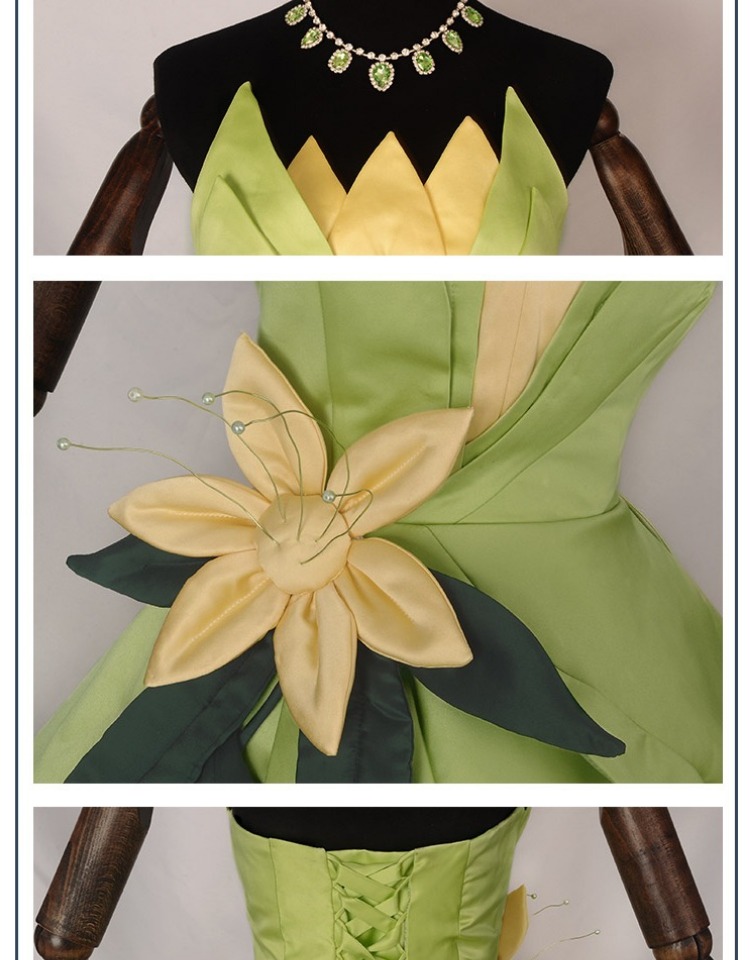 Robe de princesse Tiana, Costu - Women'S Accessories List avis et prix